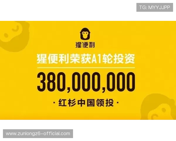 尊龙官网开户支持多种支付方式，方便快捷实现资金的快速存取