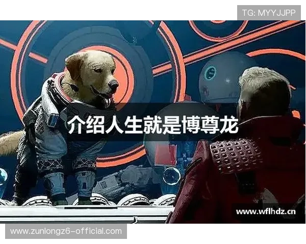 尊龙人生就是博i：如何在生活中把握每一次机会实现自我价值